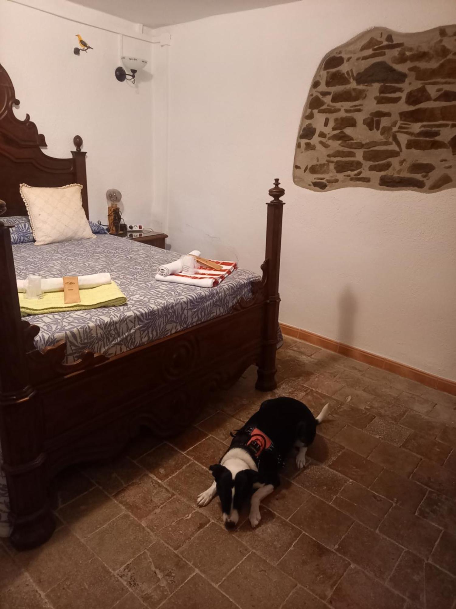 San Martín de Centellas 马斯布拉克乡村旅馆酒店 外观 照片